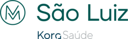 logo-meridional-sao-luiz